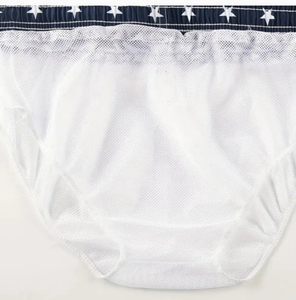 4th of July swim trunks